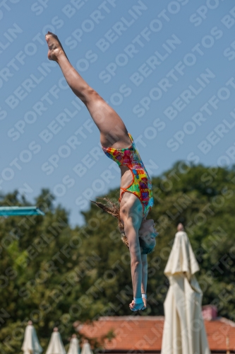 2017 - 8. Sofia Diving Cup 2017 - 8. Sofia Diving Cup 03012_27883.jpg