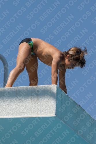 2017 - 8. Sofia Diving Cup 2017 - 8. Sofia Diving Cup 03012_27892.jpg