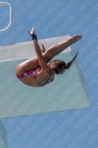 2017 - 8. Sofia Diving Cup 2017 - 8. Sofia Diving Cup 03012_27896.jpg