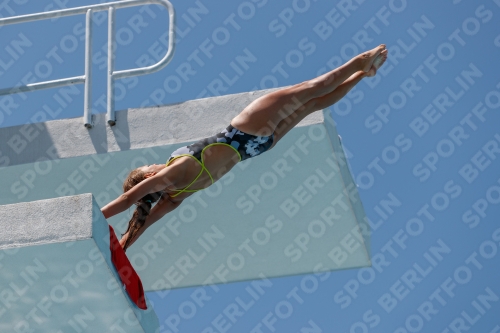 2017 - 8. Sofia Diving Cup 2017 - 8. Sofia Diving Cup 03012_27913.jpg