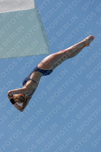 2017 - 8. Sofia Diving Cup 2017 - 8. Sofia Diving Cup 03012_27927.jpg