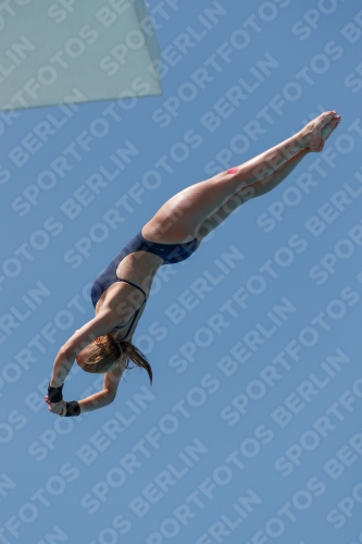2017 - 8. Sofia Diving Cup 2017 - 8. Sofia Diving Cup 03012_27928.jpg