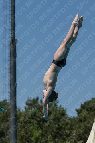 2017 - 8. Sofia Diving Cup 2017 - 8. Sofia Diving Cup 03012_27941.jpg