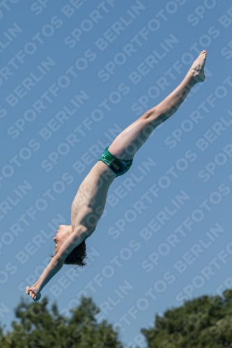 2017 - 8. Sofia Diving Cup 2017 - 8. Sofia Diving Cup 03012_27978.jpg