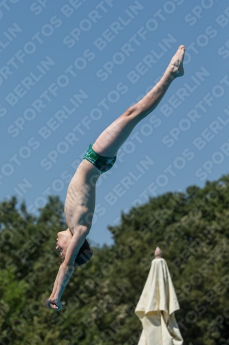 2017 - 8. Sofia Diving Cup 2017 - 8. Sofia Diving Cup 03012_27979.jpg