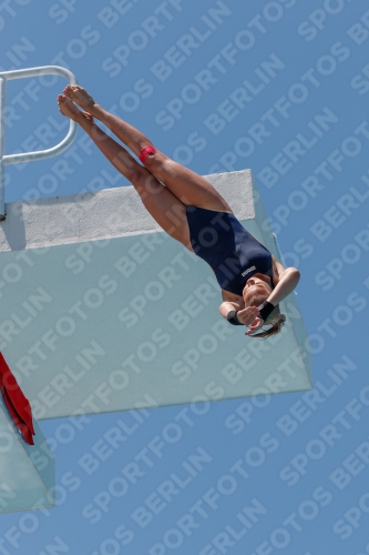 2017 - 8. Sofia Diving Cup 2017 - 8. Sofia Diving Cup 03012_27985.jpg