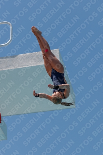 2017 - 8. Sofia Diving Cup 2017 - 8. Sofia Diving Cup 03012_27986.jpg