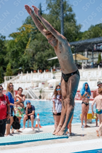 2017 - 8. Sofia Diving Cup 2017 - 8. Sofia Diving Cup 03012_28231.jpg