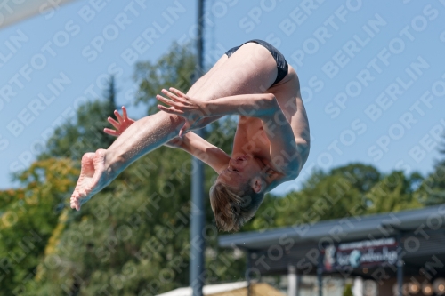 2017 - 8. Sofia Diving Cup 2017 - 8. Sofia Diving Cup 03012_28251.jpg