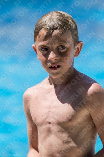 2017 - 8. Sofia Diving Cup 2017 - 8. Sofia Diving Cup 03012_28258.jpg