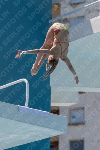 2017 - 8. Sofia Diving Cup 2017 - 8. Sofia Diving Cup 03012_28333.jpg