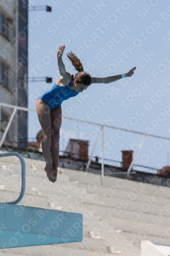 2017 - 8. Sofia Diving Cup 2017 - 8. Sofia Diving Cup 03012_28337.jpg