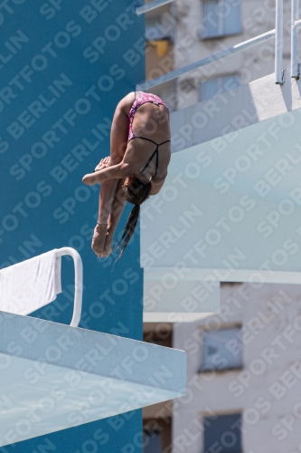 2017 - 8. Sofia Diving Cup 2017 - 8. Sofia Diving Cup 03012_28354.jpg
