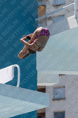 2017 - 8. Sofia Diving Cup 2017 - 8. Sofia Diving Cup 03012_28355.jpg