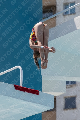 2017 - 8. Sofia Diving Cup 2017 - 8. Sofia Diving Cup 03012_28420.jpg