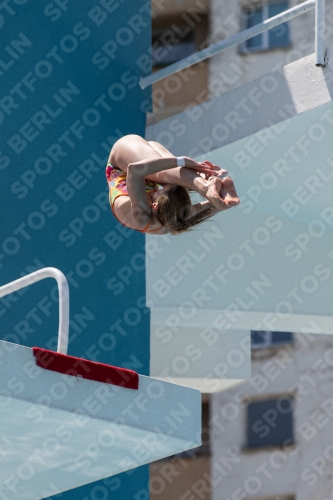 2017 - 8. Sofia Diving Cup 2017 - 8. Sofia Diving Cup 03012_28421.jpg