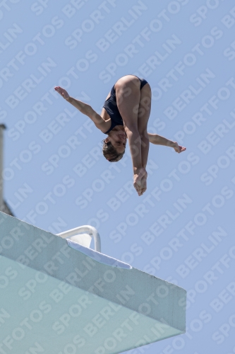 2017 - 8. Sofia Diving Cup 2017 - 8. Sofia Diving Cup 03012_28450.jpg