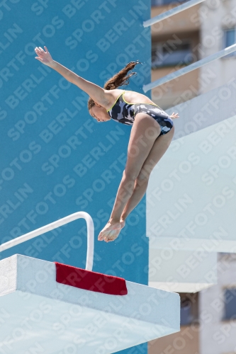 2017 - 8. Sofia Diving Cup 2017 - 8. Sofia Diving Cup 03012_28456.jpg