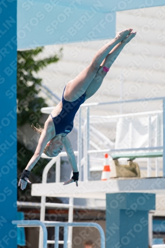 2017 - 8. Sofia Diving Cup 2017 - 8. Sofia Diving Cup 03012_28474.jpg
