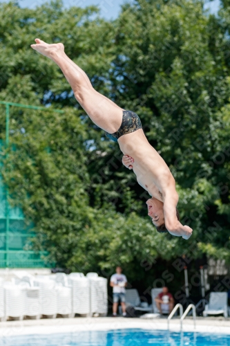 2017 - 8. Sofia Diving Cup 2017 - 8. Sofia Diving Cup 03012_28527.jpg
