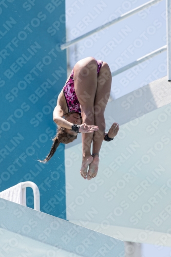 2017 - 8. Sofia Diving Cup 2017 - 8. Sofia Diving Cup 03012_28537.jpg