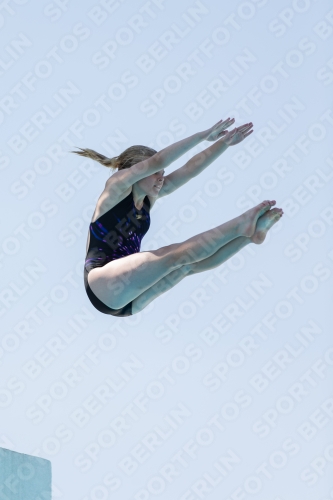2017 - 8. Sofia Diving Cup 2017 - 8. Sofia Diving Cup 03012_28604.jpg