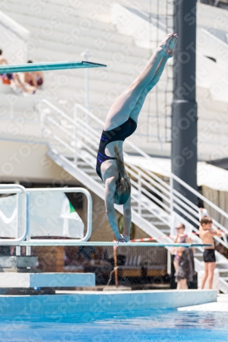 2017 - 8. Sofia Diving Cup 2017 - 8. Sofia Diving Cup 03012_28606.jpg