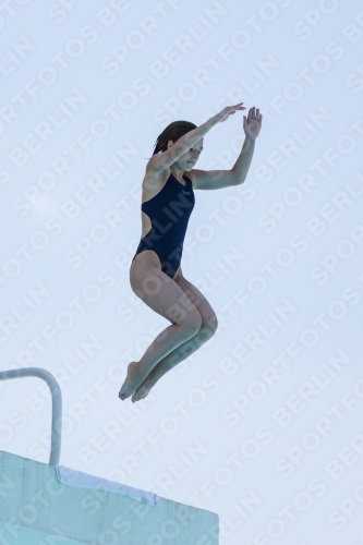 2017 - 8. Sofia Diving Cup 2017 - 8. Sofia Diving Cup 03012_28607.jpg