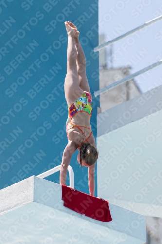 2017 - 8. Sofia Diving Cup 2017 - 8. Sofia Diving Cup 03012_28612.jpg