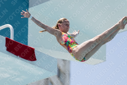 2017 - 8. Sofia Diving Cup 2017 - 8. Sofia Diving Cup 03012_28614.jpg