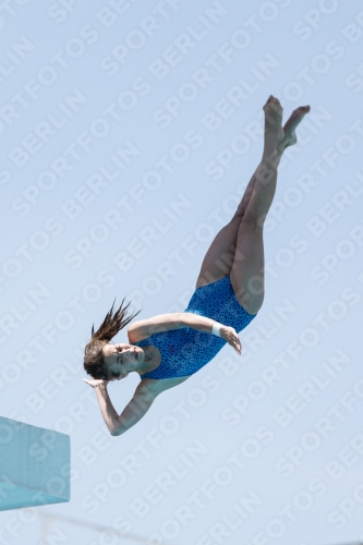 2017 - 8. Sofia Diving Cup 2017 - 8. Sofia Diving Cup 03012_28630.jpg