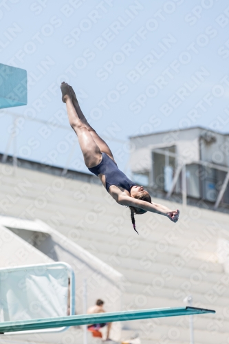 2017 - 8. Sofia Diving Cup 2017 - 8. Sofia Diving Cup 03012_28642.jpg