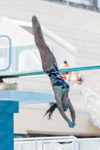 2017 - 8. Sofia Diving Cup 2017 - 8. Sofia Diving Cup 03012_28648.jpg