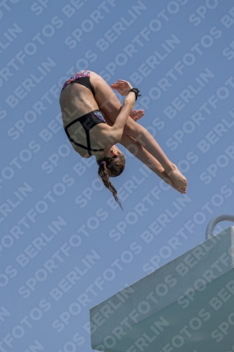 2017 - 8. Sofia Diving Cup 2017 - 8. Sofia Diving Cup 03012_35024.jpg