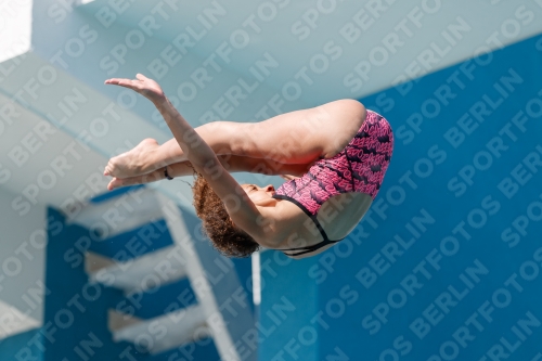 2017 - 8. Sofia Diving Cup 2017 - 8. Sofia Diving Cup 03012_35073.jpg
