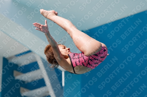 2017 - 8. Sofia Diving Cup 2017 - 8. Sofia Diving Cup 03012_35074.jpg