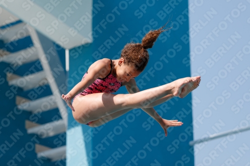 2017 - 8. Sofia Diving Cup 2017 - 8. Sofia Diving Cup 03012_35078.jpg