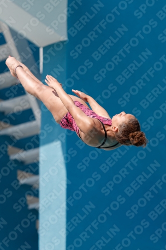 2017 - 8. Sofia Diving Cup 2017 - 8. Sofia Diving Cup 03012_35110.jpg