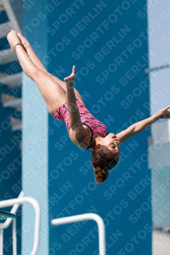 2017 - 8. Sofia Diving Cup 2017 - 8. Sofia Diving Cup 03012_35112.jpg