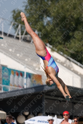 2017 - 8. Sofia Diving Cup 2017 - 8. Sofia Diving Cup 03012_35122.jpg