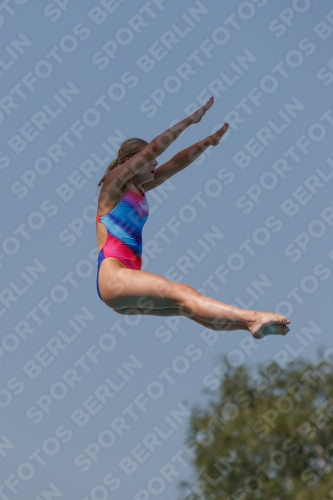 2017 - 8. Sofia Diving Cup 2017 - 8. Sofia Diving Cup 03012_35154.jpg