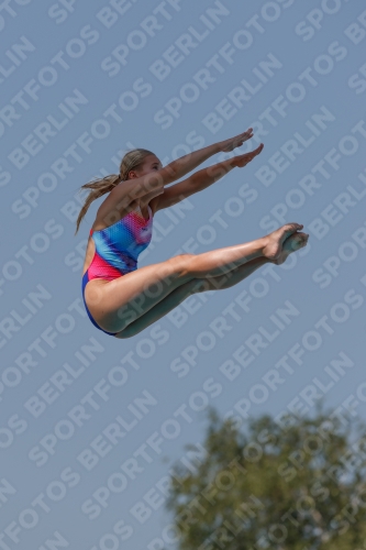 2017 - 8. Sofia Diving Cup 2017 - 8. Sofia Diving Cup 03012_35155.jpg