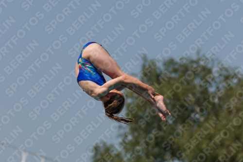 2017 - 8. Sofia Diving Cup 2017 - 8. Sofia Diving Cup 03012_35167.jpg