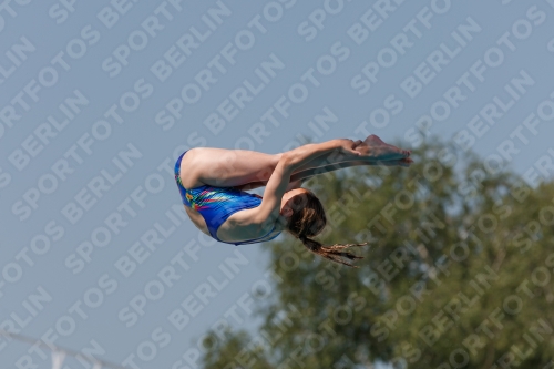 2017 - 8. Sofia Diving Cup 2017 - 8. Sofia Diving Cup 03012_35168.jpg