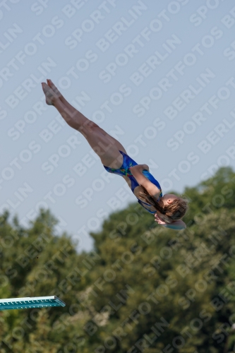 2017 - 8. Sofia Diving Cup 2017 - 8. Sofia Diving Cup 03012_35197.jpg