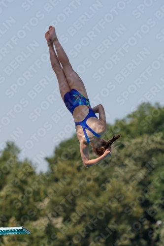 2017 - 8. Sofia Diving Cup 2017 - 8. Sofia Diving Cup 03012_35198.jpg