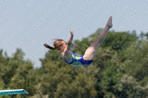 2017 - 8. Sofia Diving Cup 2017 - 8. Sofia Diving Cup 03012_35200.jpg
