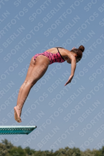 2017 - 8. Sofia Diving Cup 2017 - 8. Sofia Diving Cup 03012_35203.jpg