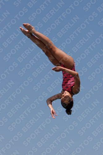 2017 - 8. Sofia Diving Cup 2017 - 8. Sofia Diving Cup 03012_35208.jpg