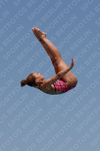 2017 - 8. Sofia Diving Cup 2017 - 8. Sofia Diving Cup 03012_35210.jpg